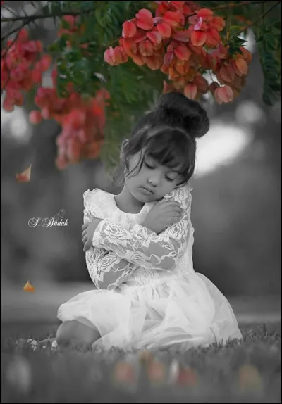 Quelle affirmation doit-être remplie pour qu'un enfant puisse devenir citoyen japonais ?