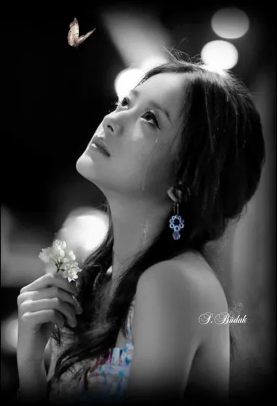 Selon la tradition nipponne, la femme est désignée comme "shufu", c'est à dire :