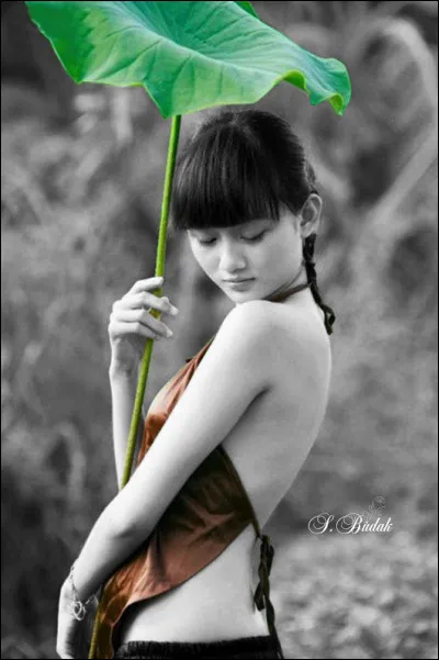 Depuis 1947, la femme, légalement, n'est plus placée sous la tutelle de son mari. Comment cette loi est-elle appliquée ?