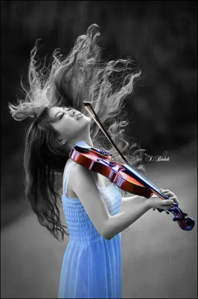 Que sont les Geishas ?