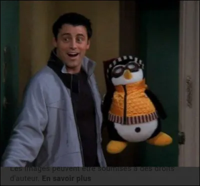 Comment s'appelle la peluche de Joey ?