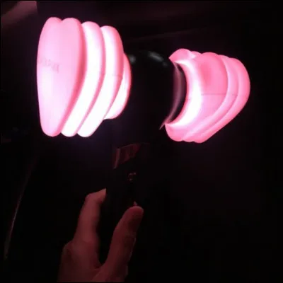 Comment s'appellent les fans de Blackpink ?