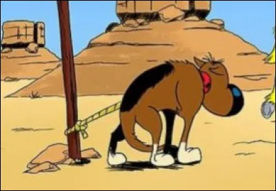 Dessins à desseins, c'est le...