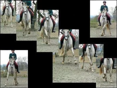 Quelle est cette figure ?