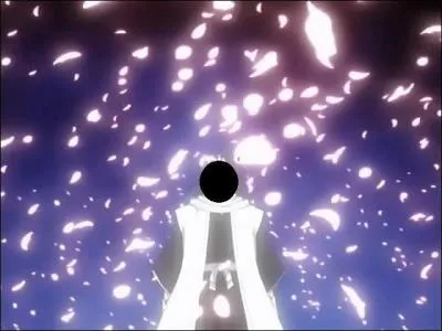 A qui appartient ce bankai ?