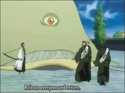 A qui appartient ce bankai ?