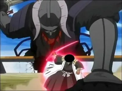 A qui appartient ce bankai ?