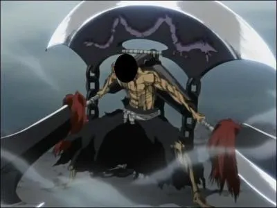 A qui appartient ce bankai ?