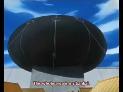 A qui appartient ce bankai ?