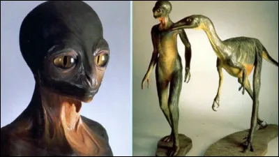 Quel dinosaure est le plus intelligent et se rapprocherait le plus de l'espèce humaine selon l'image ci-dessus ?