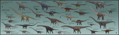 En évoquant les dinosaures, on pense immédiatement au Tyrannosaurus rex ou bien au Diplodocus.
En effet, les sauropodes étaient les plus grands et les plus lourds de tous. L'Argentinosaurus, lui, pesait une masse impressionnante de :