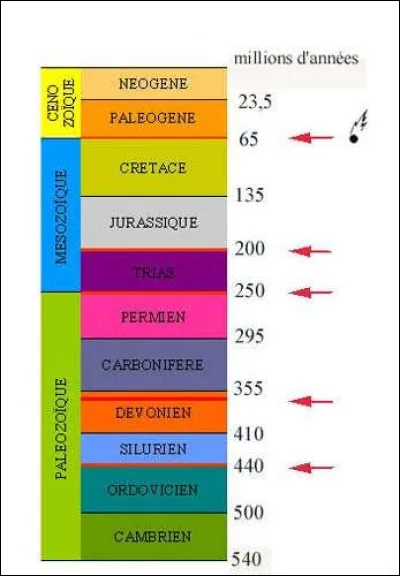 On les oublie souvent, mais ils sont tous aussi fascinants puisqu'ils comptent parmi les premiers dinosaures à avoir foulé la Terre au début du Trias, (lors du commencement de la mythique période Mésozoïque). Cochez les.