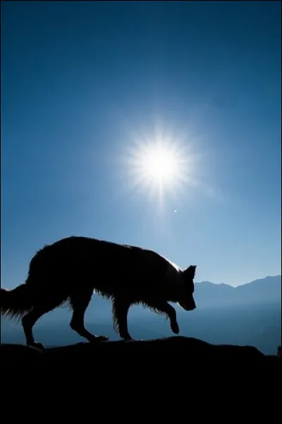 Devine se mot en S :