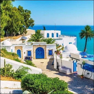 Quel village m&eacute;diterran&eacute;en, tr&egrave;s pris&eacute; des artistes, est surnomm&eacute; le &laquo; petit paradis blanc et bleu &raquo; ?