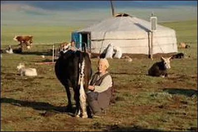 Asie de l'Est - Lequel de ces records la Mongolie détient-elle ?