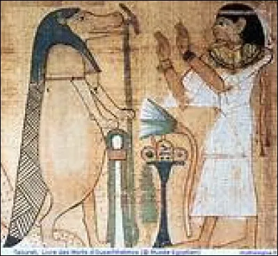 Que protège Taouret ?