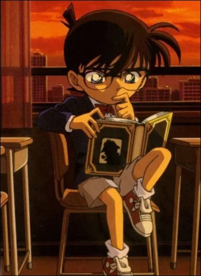 Dans l'épisode 2 de Détective Conan', Mouri Ran a rencontré un petit garçon nommé Edogawa Conan. Le prénom d'Edogawa est Ranpo. Il s'agissait d'un écrivain. Quel genre de romans a-t-il écrit ?