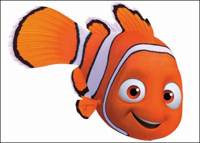 Dans le film ''Le Monde de Némo'', Némo est un poisson, mais de quelle race ?