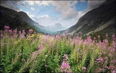 Combien de gouttes de lait peut-on mettre dans un verre vide ?