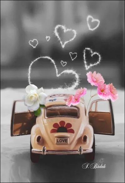 Dans sa chanson "Rockcollection", en 66, Voulzy est tombé fou amoureux, ça lui faisait plutôt mal, il avait de l'eau dans les yeux... c'était :