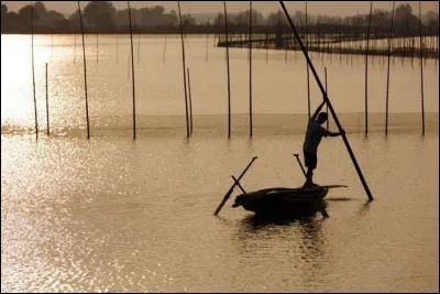 Quel grand fleuve se jette dans la mer de Chine orientale ?