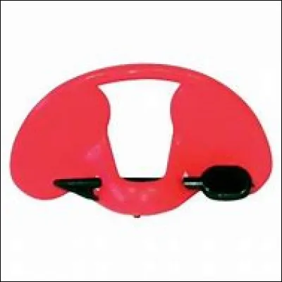 Il n'y a pas que les humains qui mettent des lunettes. Certains animaux de la ferme en portent aussi.