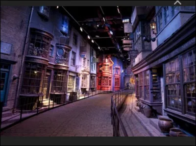 Tu arrives sur le chemin de Traverse. Vers quelle boutique te diriges-tu en premier ?