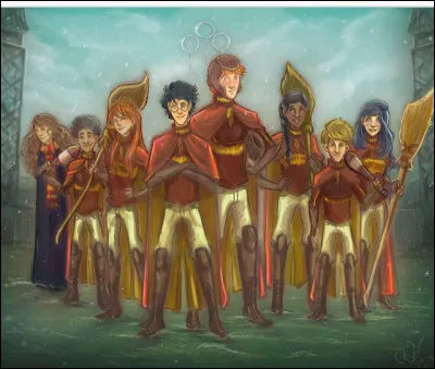 Tu travailles bien et on te propose de rejoindre l'&eacute;quipe de Quidditch de ta maison. Que fais tu ?