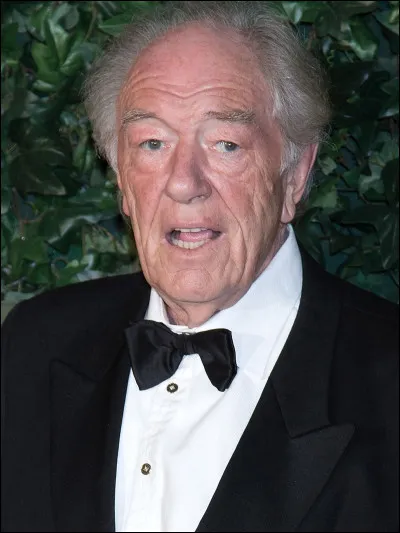 Quel rôle joue Michael Gambon ?