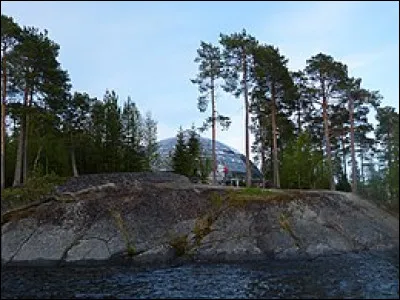 Connaît-on la signification des pétroglyphes de Kanozero ?