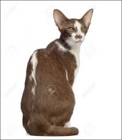 Comment est son caractère ?