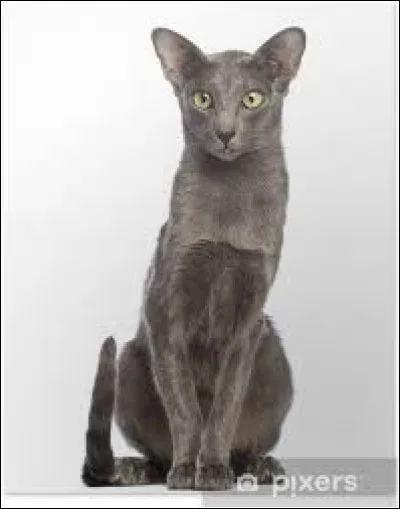 Combien pèse-t-il, environ ?