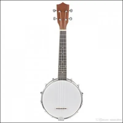 Quel est le nom de cet instrument de musique ?