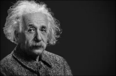 Quel est le chien le plus intelligent ?