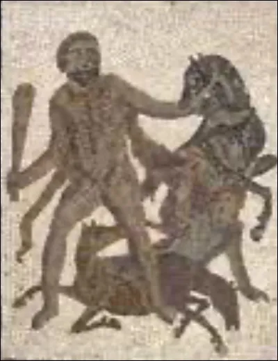 La huitième tâche fut de capturer deux juments appartenant à Diomède et de les ramener à Eurysthée, à Argos. Comment s'appellent ces juments ?