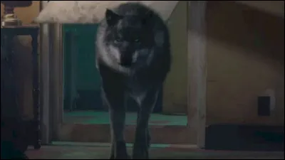 Pourquoi Luke est-il devenu un loup-garou ?