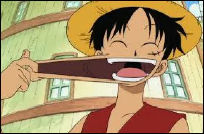 Quel est le nom du pouvoir de Monkey D. Luffy ?