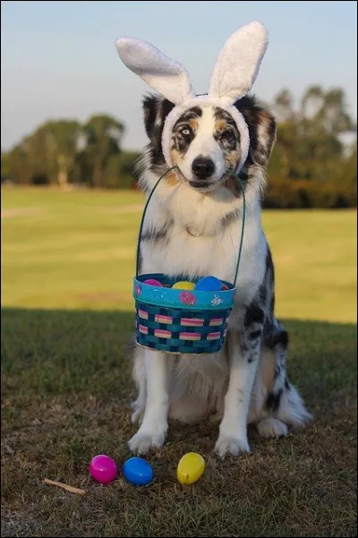 Quelle fête se cache derrière ce déguisement ?