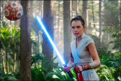 Qui est le petit copain de Rey ?