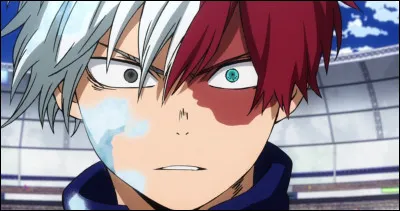 Quel est l'Alter de Shoto Todoroki ?