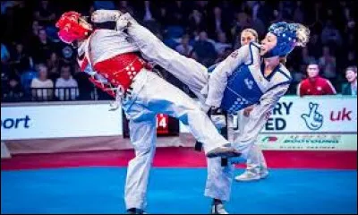 Ce sport se traduit par "La voie du pied et du poing".