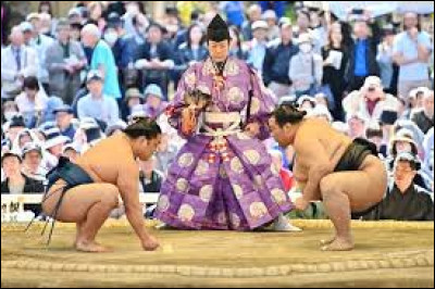 Comment s'appelle la ceinture portée par les lutteurs de sumo lors des entraînements et des compétitions ?