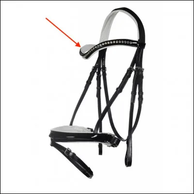 Comment s'appelle cette partie du filet ?