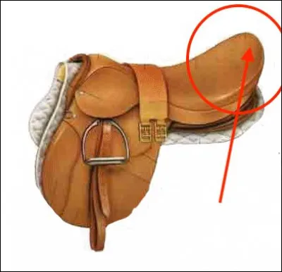 Quelle est cette partie de la selle ?