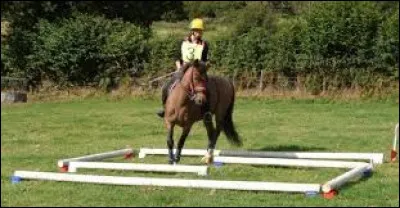 Comment s'appelle cette discipline ?