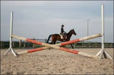 Comment s'appelle cet obstacle ?