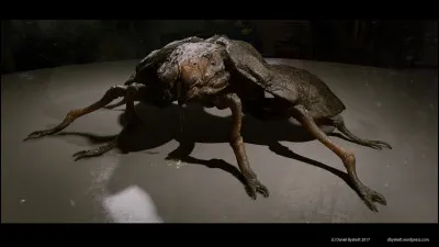 Comment va-t-elle s'en sortir ?