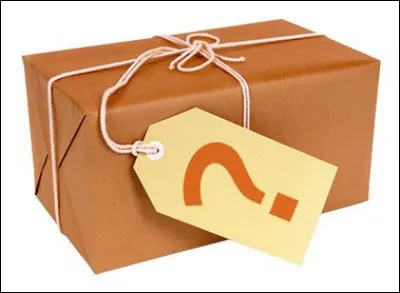 Aggripa d'Aubigné et Brantôme rapportent un fait qui reste toutefois sujet à caution : Catherine aurait envoyé au pape, en guise de présent...