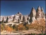 Pour les habitants de la rgion volcanique de Cappadoce en Turquie, les cnes isols sont appels ?