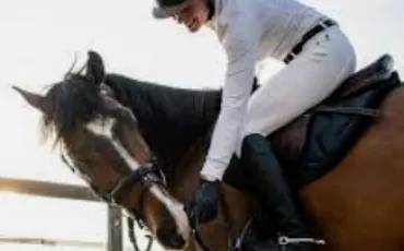 Quiz Chevaux